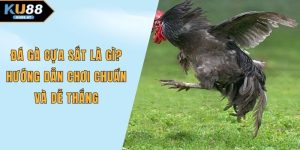 Đá gà cựa sắt