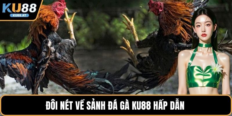 Đôi nét về sảnh đá gà KU88 hấp dẫn