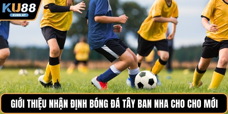 Giới thiệu nhận định bóng đá Tây Ban Nha cho cho mới 