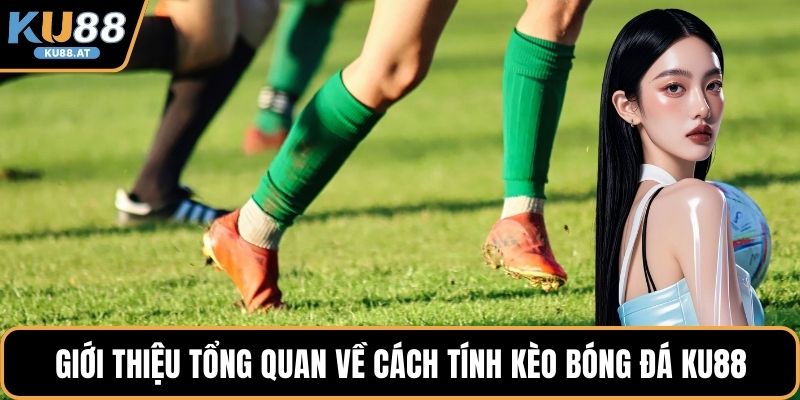 Giới thiệu tổng quan về cách tính kèo bóng đá KU88 