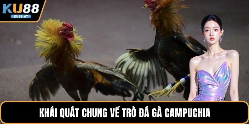Khái quát chung về trò đá gà Campuchia