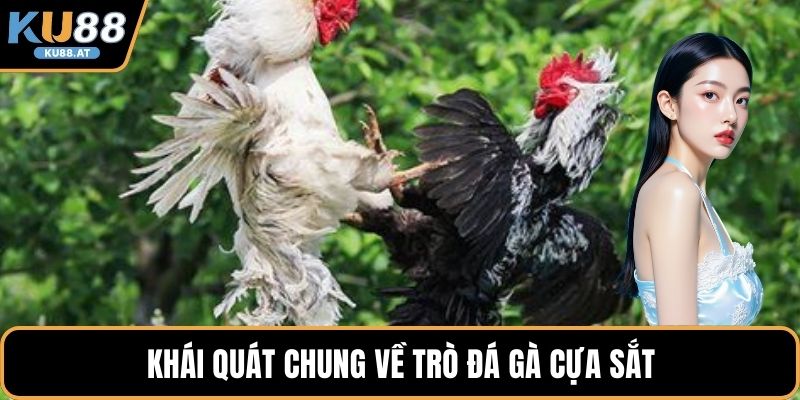 Khái quát chung về trò đá gà cựa sắt