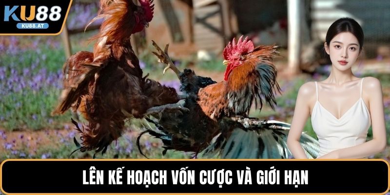 Lên kế hoạch vốn cược và giới hạn