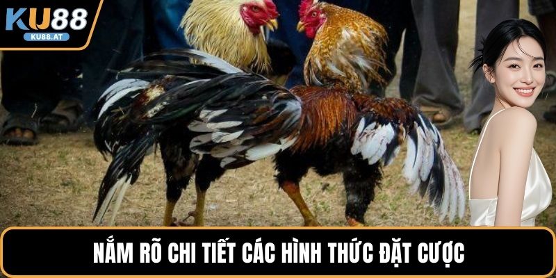 Nắm rõ chi tiết các hình thức đặt cược