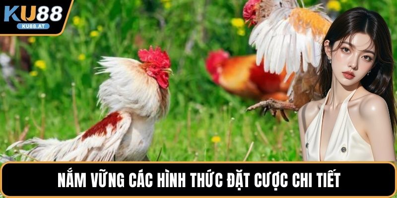 Nắm vững các hình thức đặt cược chi tiết