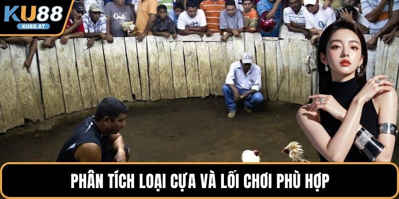 Phân tích loại cựa và lối chơi phù hợp
