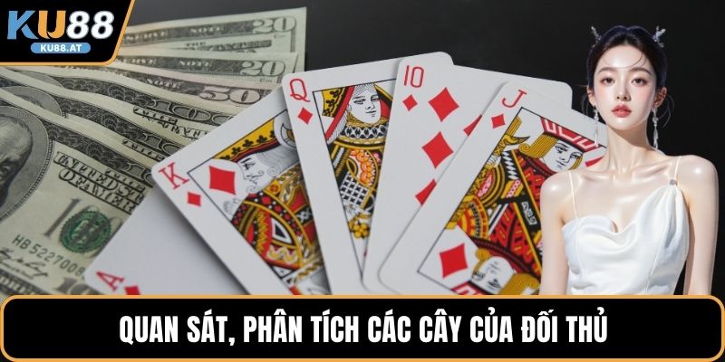 Quan sát, phân tích các cây của đối thủ