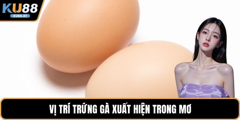 Vị trí trứng gà xuất hiện trong mơ